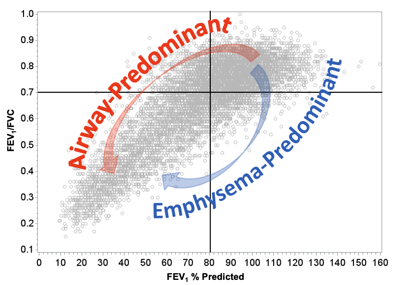 pathways: Airway-predominant vs Emphysema-predominant