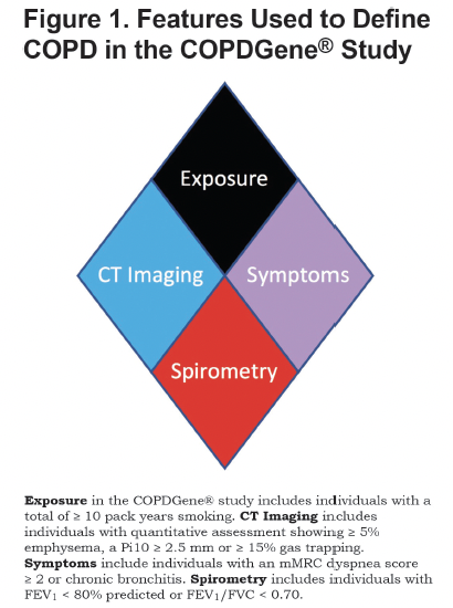 COPD2019 Diamond of 4 factors: Exposure, CT imaging, Symptoms, Spirometry