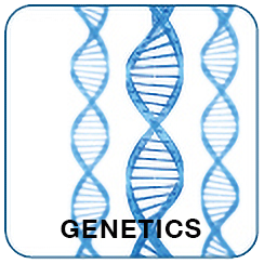 Square graphical button with 3 DNA helixes on it and the word Genetics vertically on the left