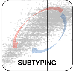 Square graphical button with a data and the word subtyping vertically on the left